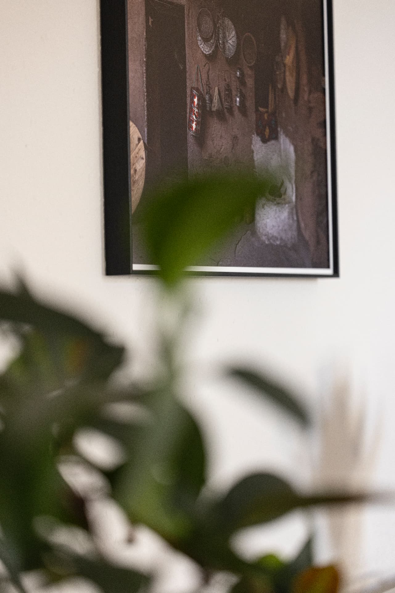 Framed photograph on a light wall with blurred plant leaves in the foreground